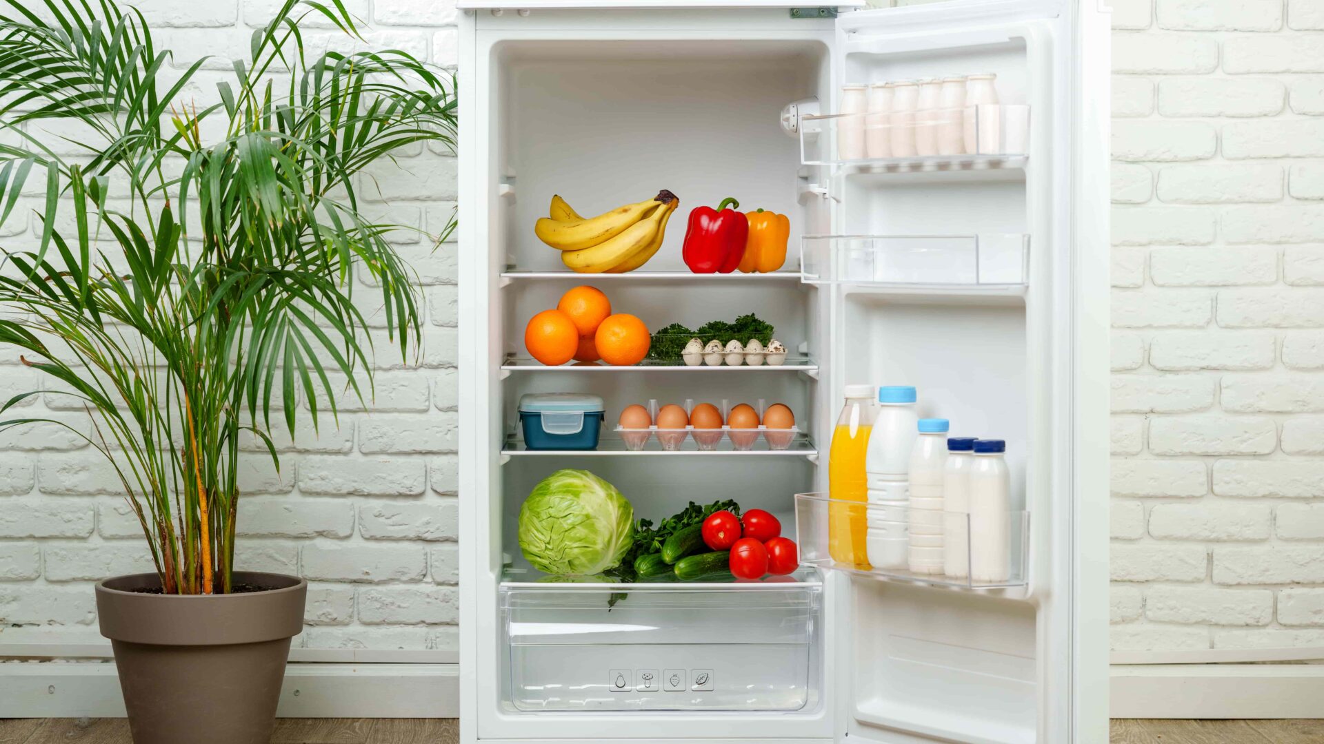 white-refrigerator-open-with-fresh-produce-and-dai-2025-02-25-01-38-56-utc-min
