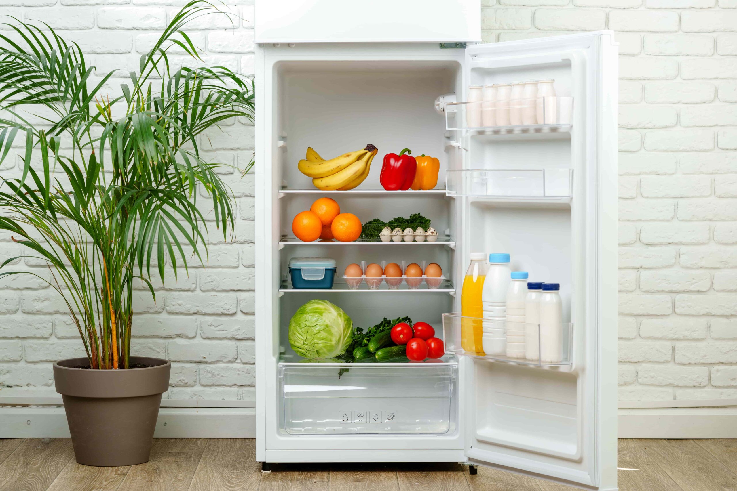 white-refrigerator-open-with-fresh-produce-and-dai-2025-02-25-01-38-56-utc-min