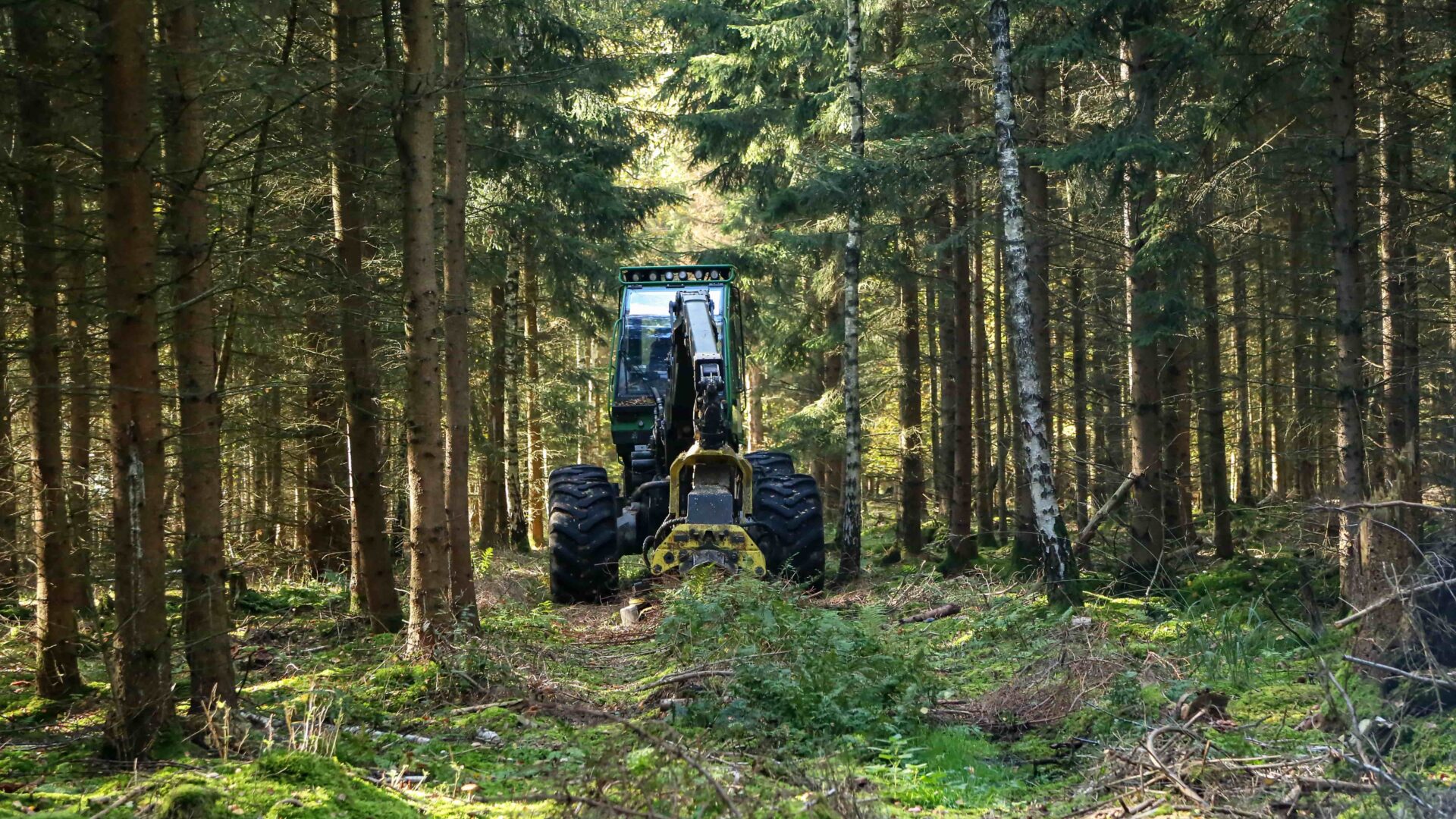 large-tractor-machine-in-a-forest-2025-02-02-11-51-43-utc-min
