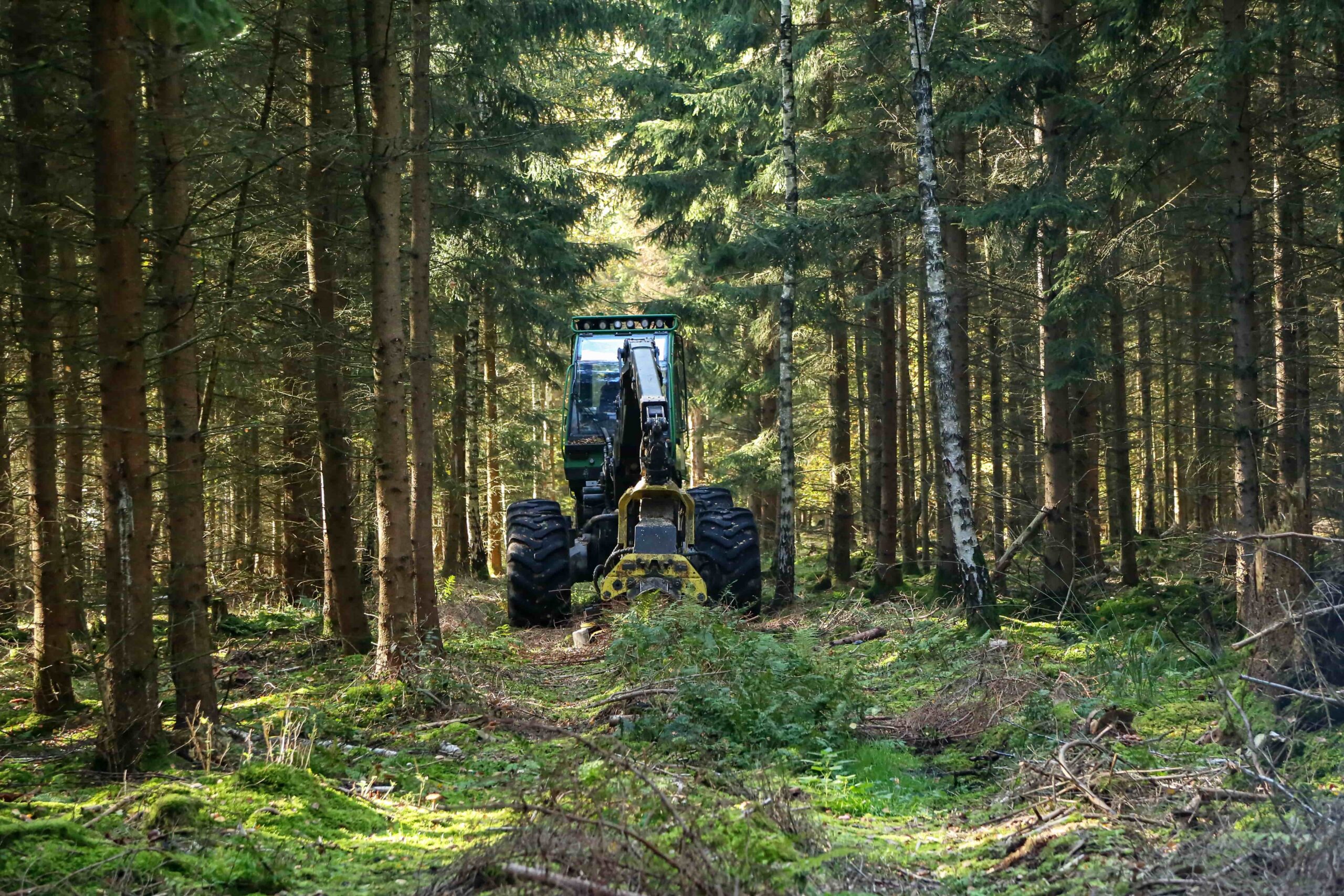 large-tractor-machine-in-a-forest-2025-02-02-11-51-43-utc-min